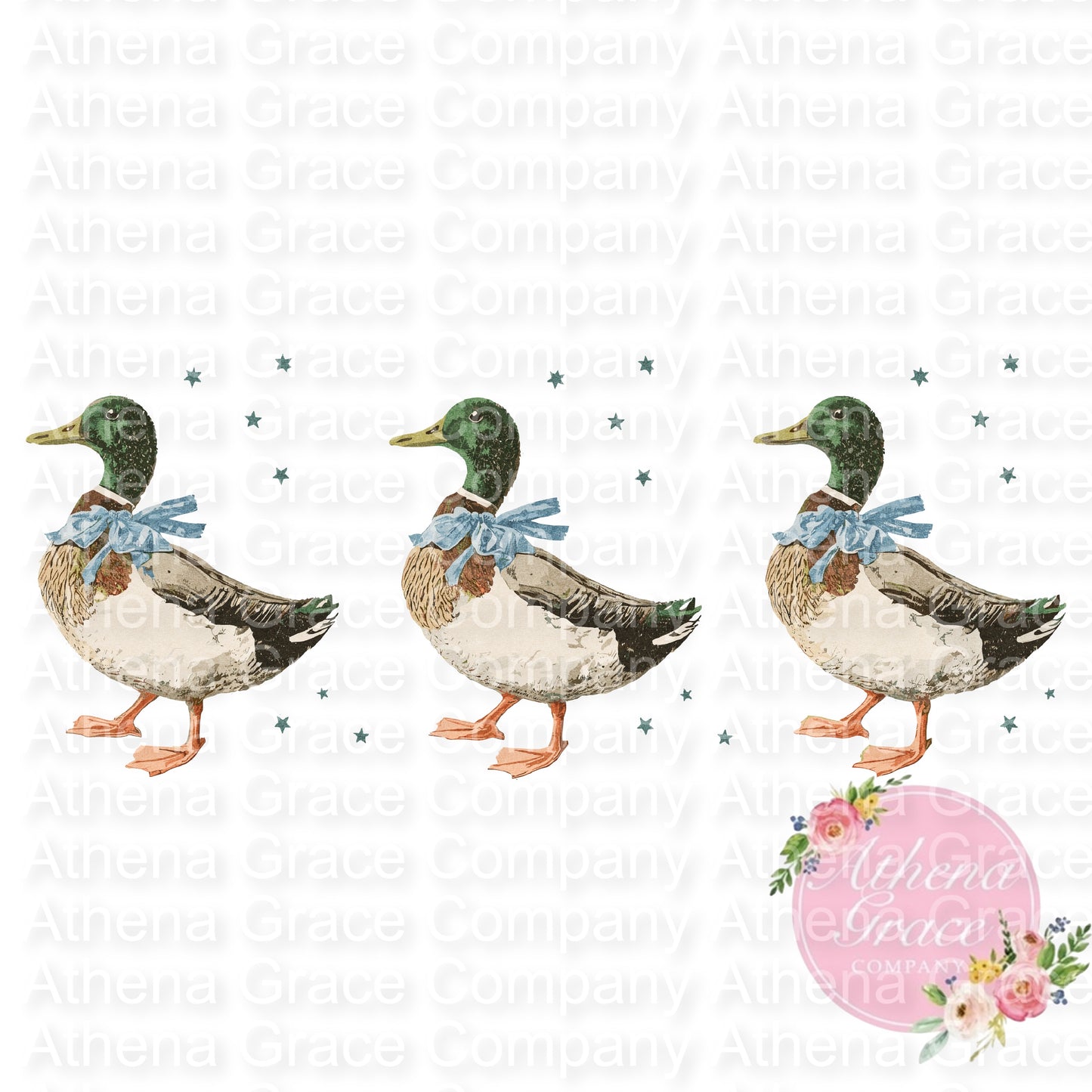 Ducks DTF