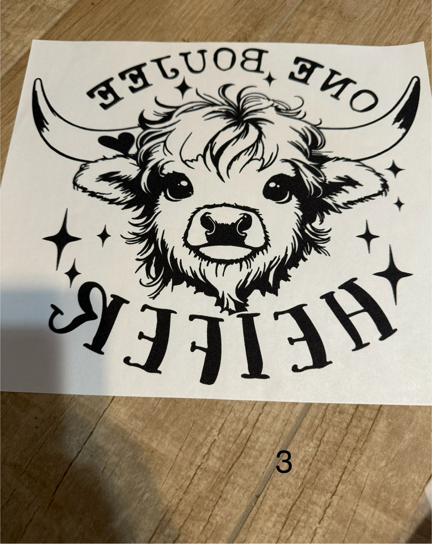 DTF/ Screen Prints