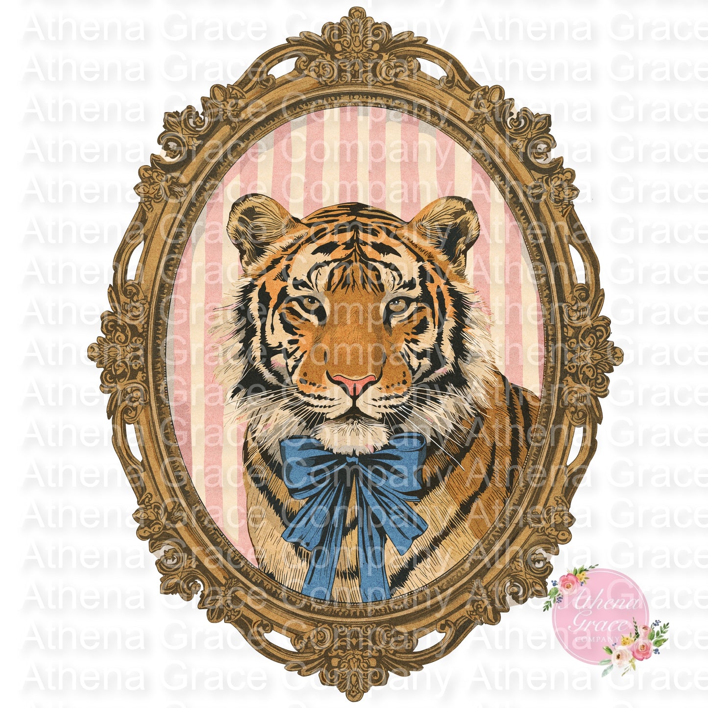 Tiger FrameDTF
