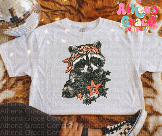 Raccoon Life