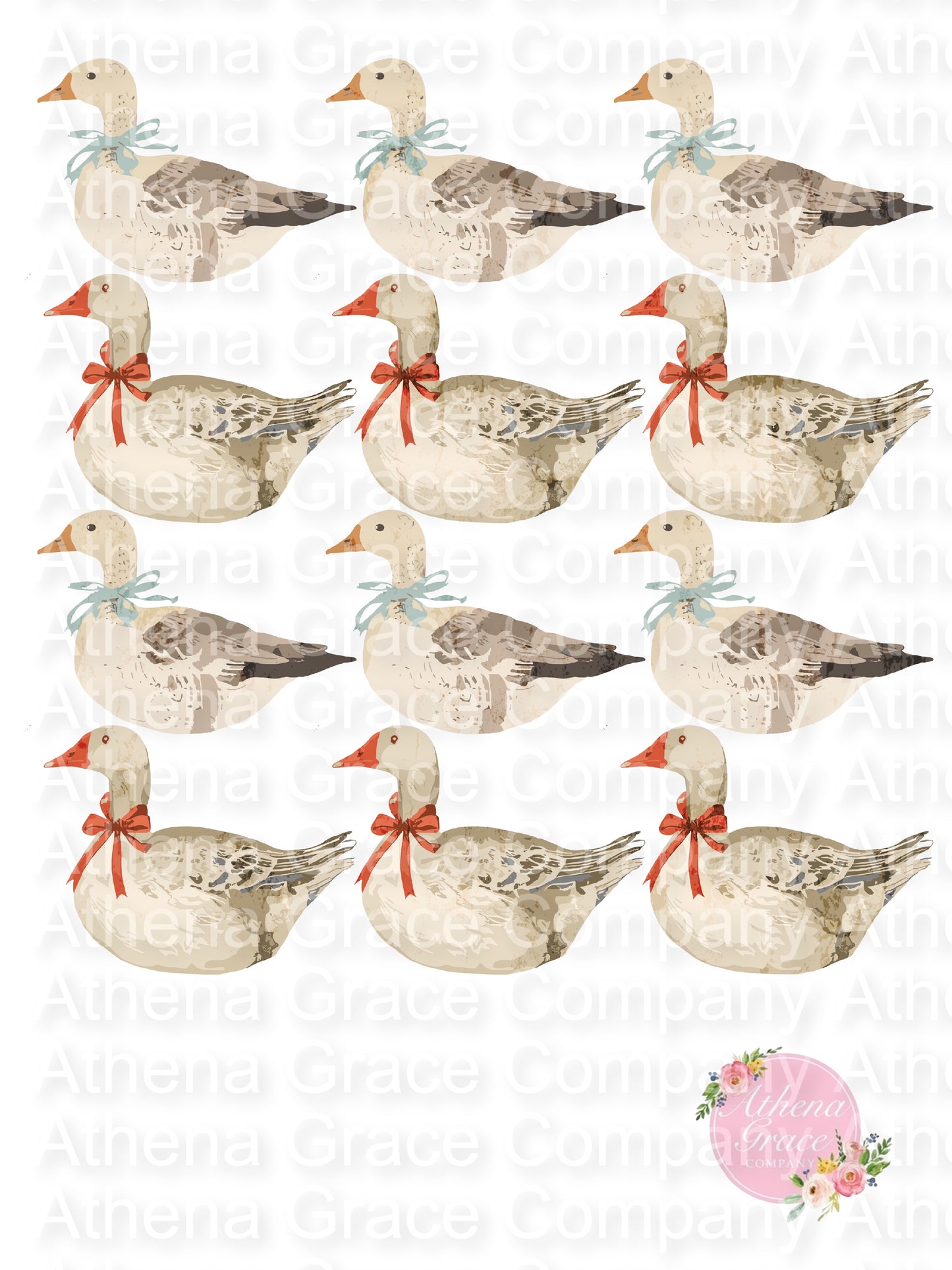Duck Duck Goose DTF
