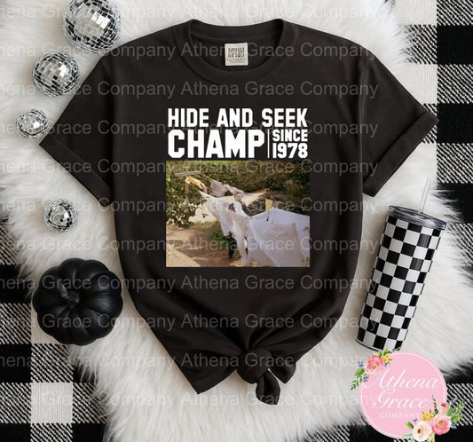 Hide And Seek Champ